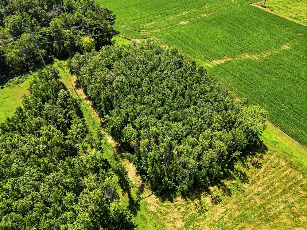 282 Highway 259 Portland, TN 37148