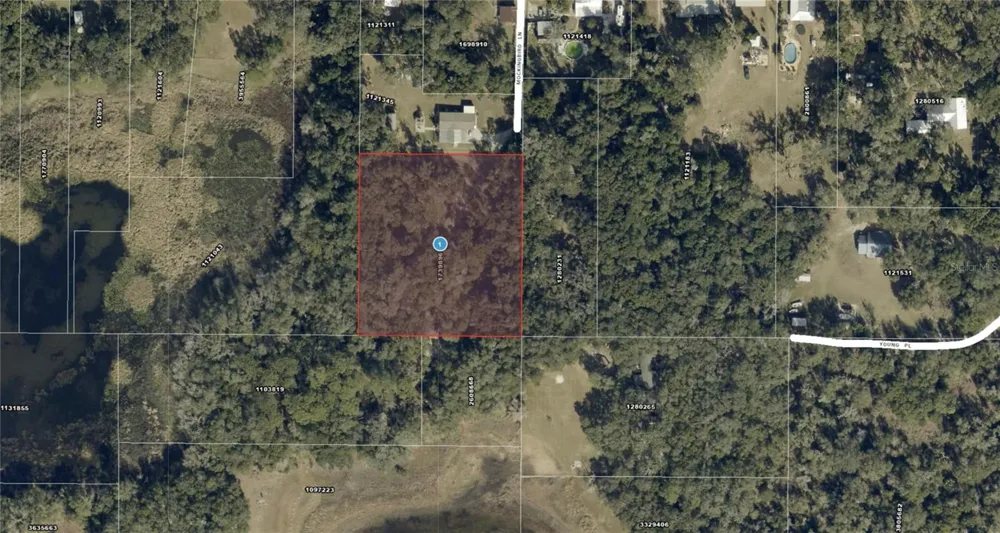 128 MOCKINGBIRD LANE Lady Lake, FL 32159