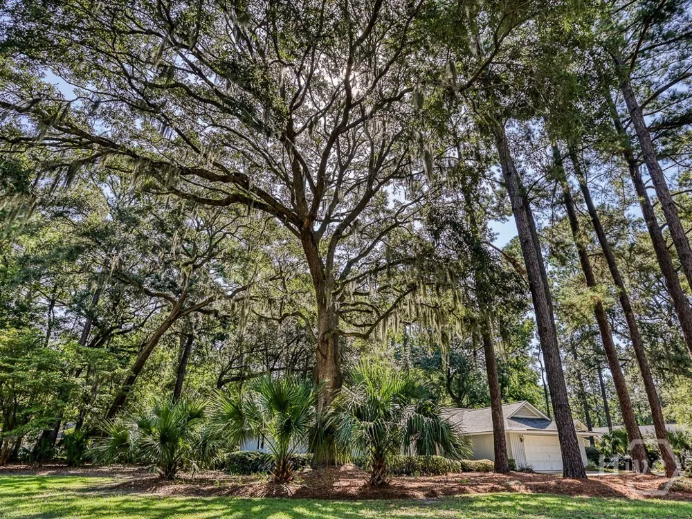 262 Wiley Bottom Road Savannah, GA 31411