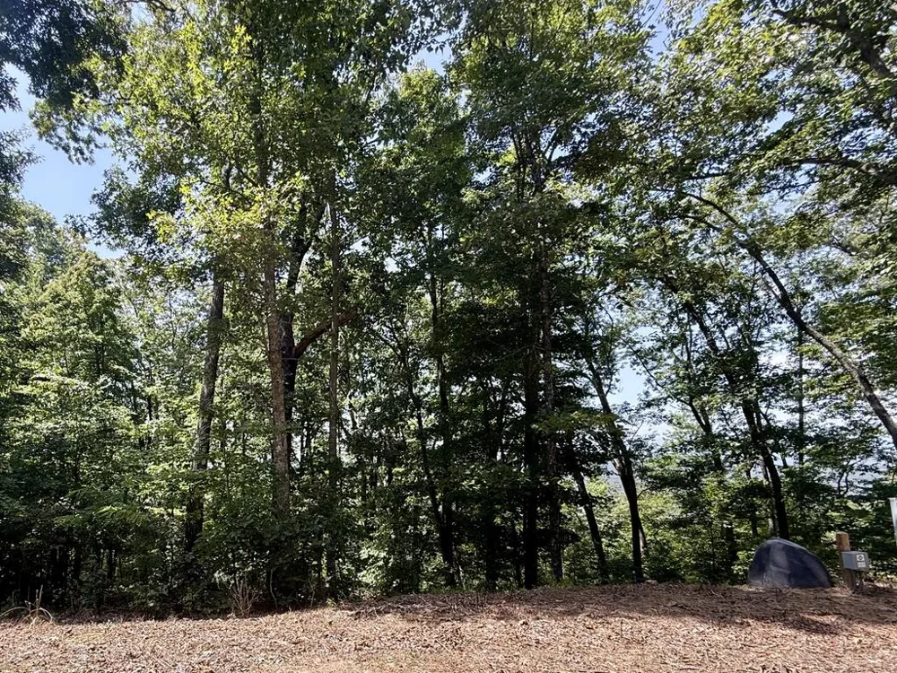 Lot 26 Grand Laurel Brasstown, NC 28902