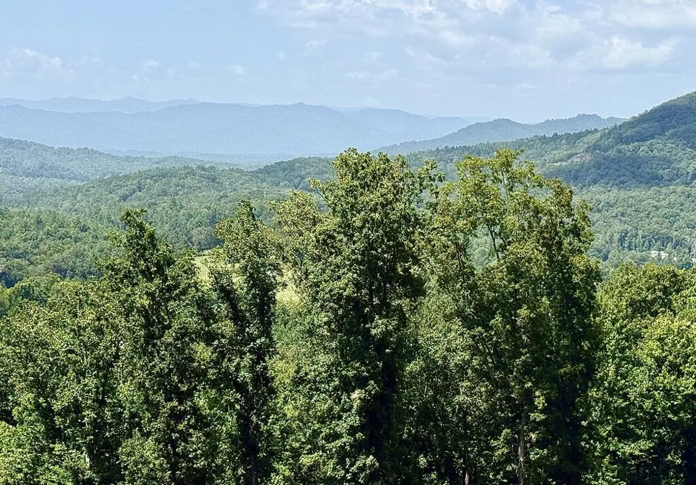 Lot 25 Grand Laurel Brasstown, NC 28902