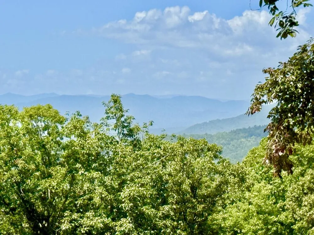 Lot 25 Grand Laurel Brasstown, NC 28902