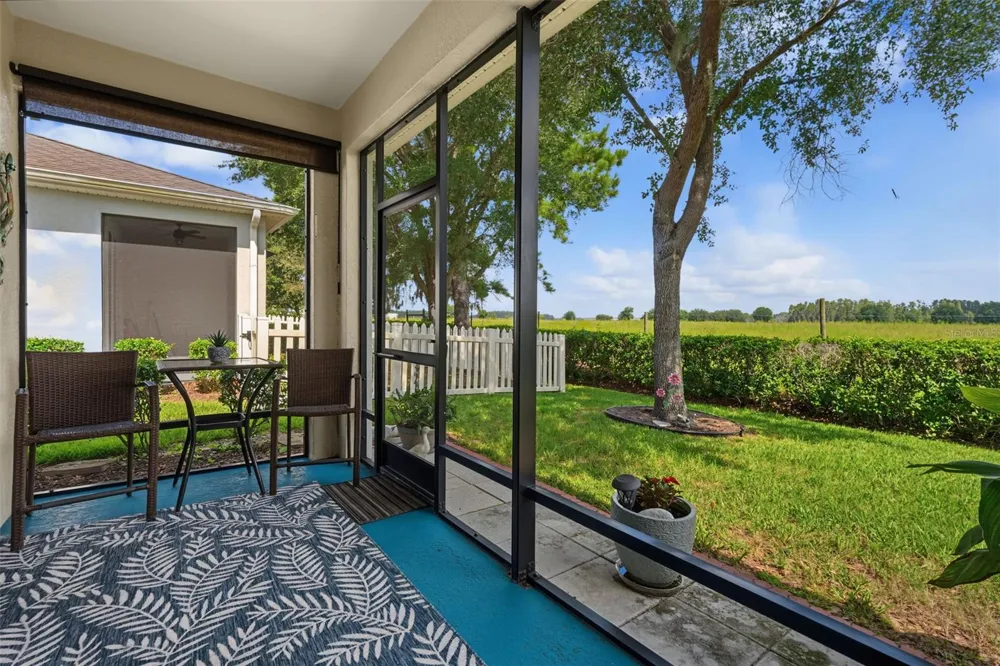 33067 WINDELSTRAW DRIVE Wesley Chapel, FL 33545