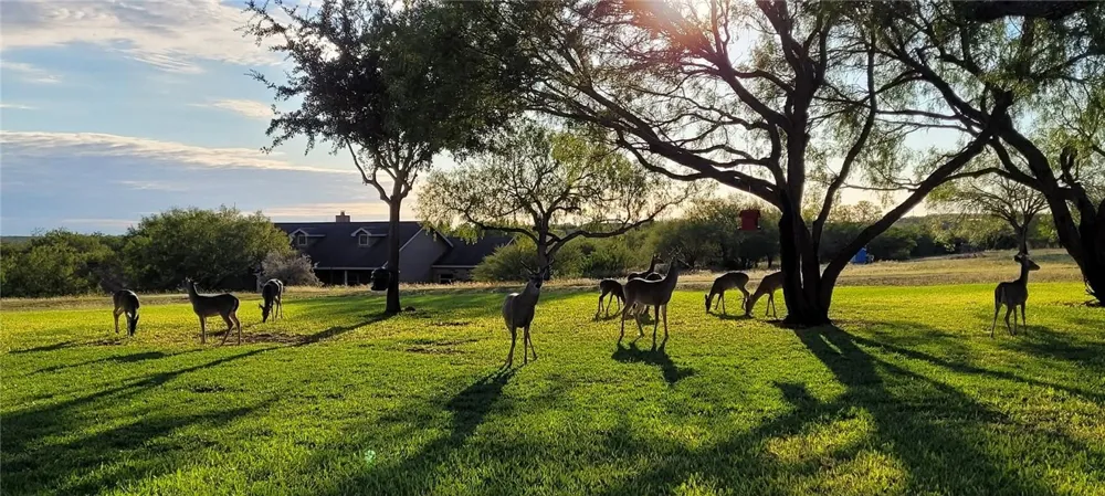 396 House Avenue Sandia, TX 78383