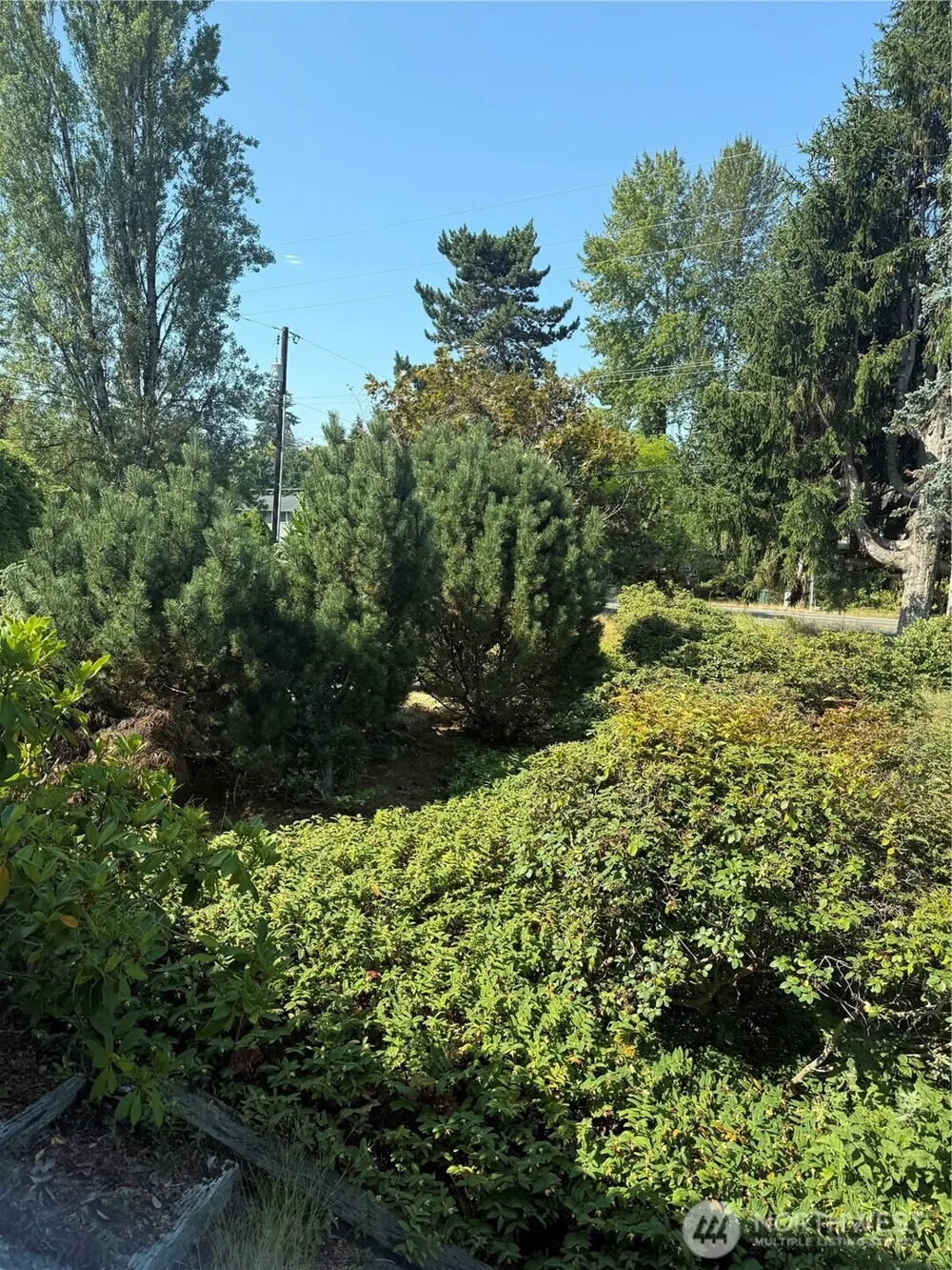721 91st Avenue SE #lot 6 Lake Stevens, WA 98258