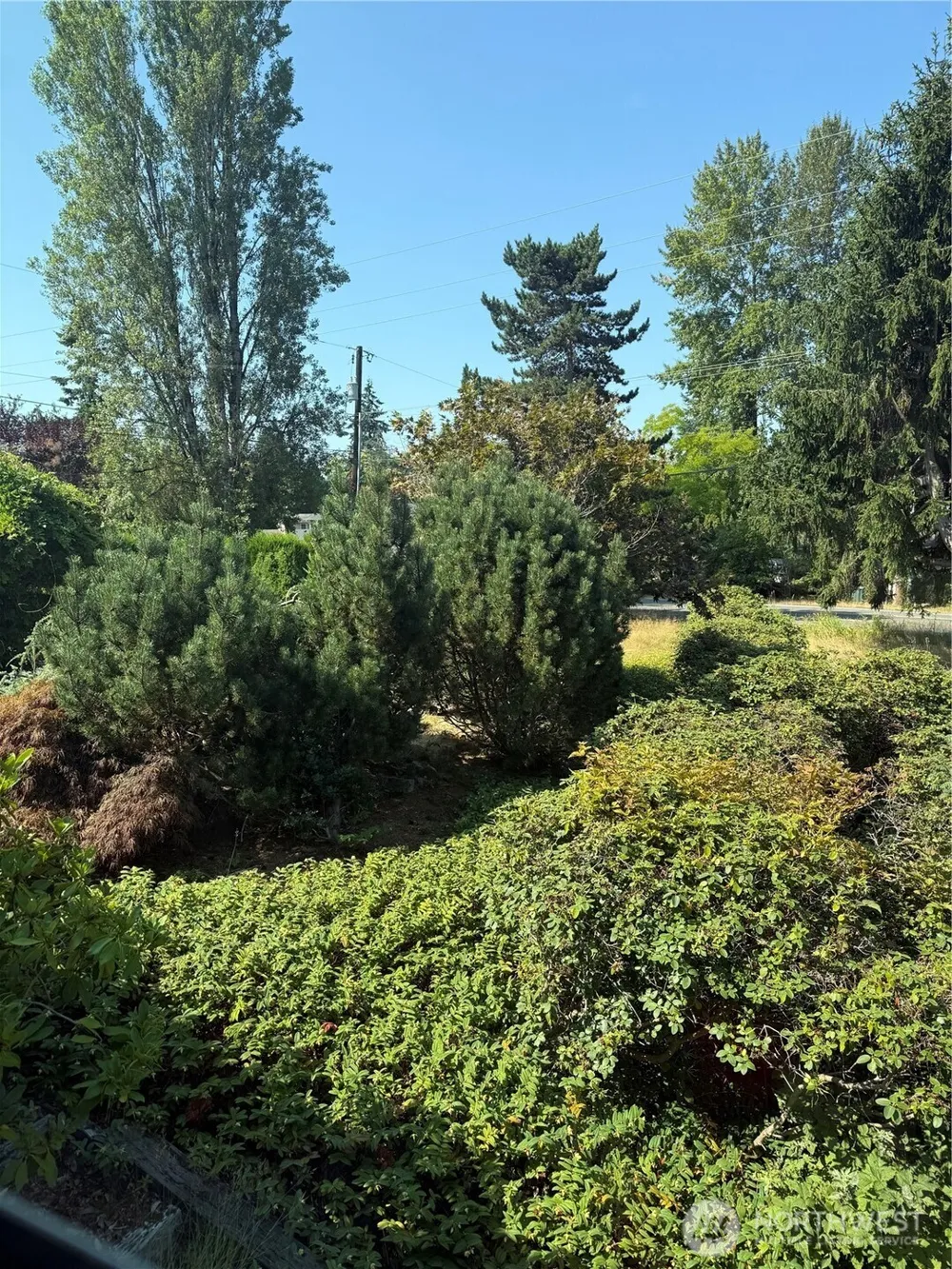 721 91st Avenue SE #lot 6 Lake Stevens, WA 98258