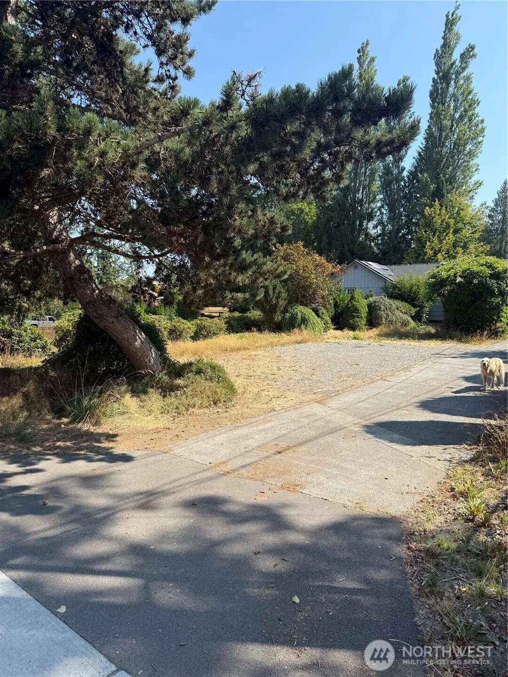 721 91st Avenue SE #lot 6 Lake Stevens, WA 98258