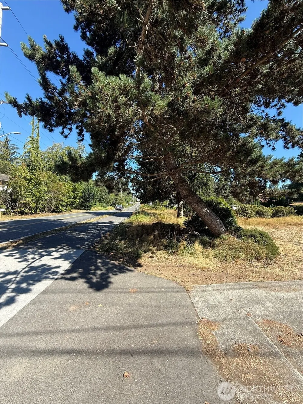 721 91st Avenue SE #lot 6 Lake Stevens, WA 98258