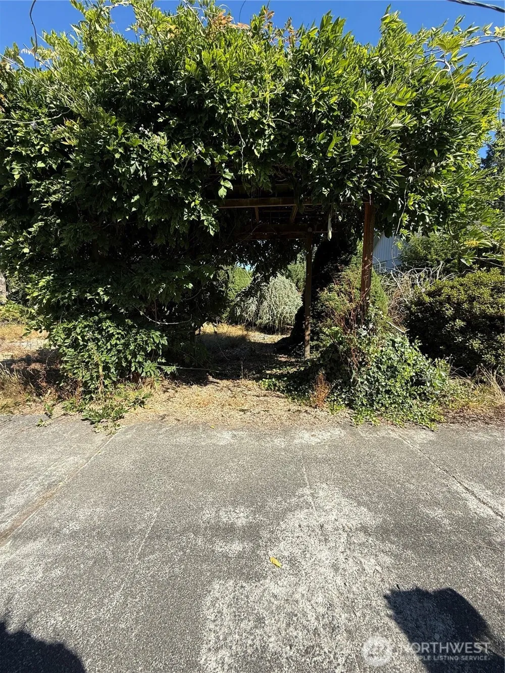 721 91st Avenue SE #lot 6 Lake Stevens, WA 98258
