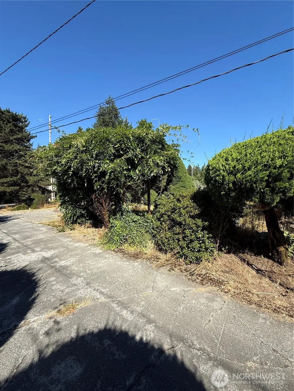 721 91st Avenue SE #lot 6 Lake Stevens, WA 98258