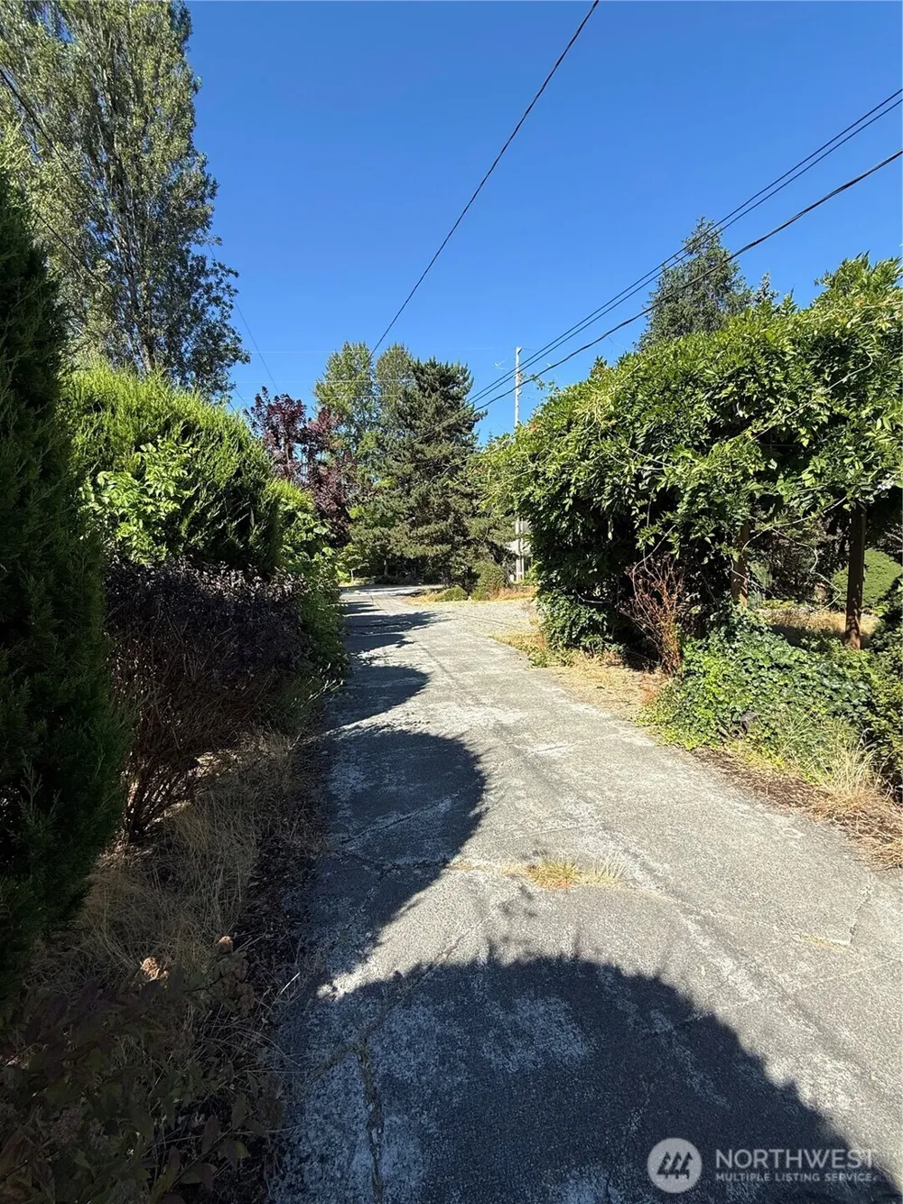 721 91st Avenue SE #lot 6 Lake Stevens, WA 98258