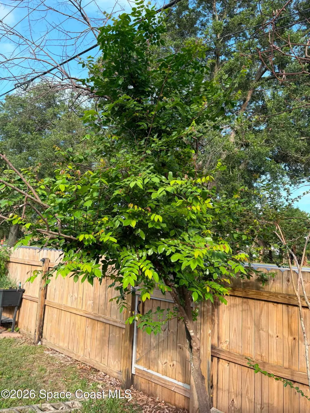 1835 Longleaf Road Cocoa, FL 32926