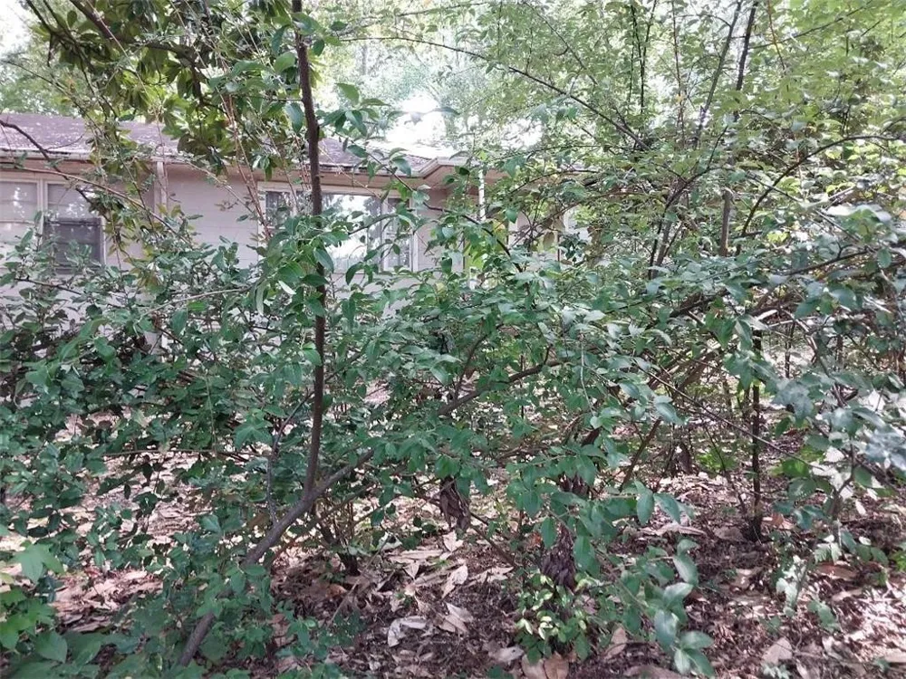2672 Roswell Road Marietta, GA 30062