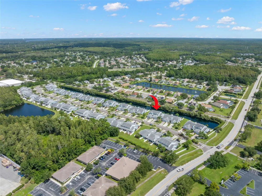 216 HEMINGWAY DRIVE Oldsmar, FL 34677