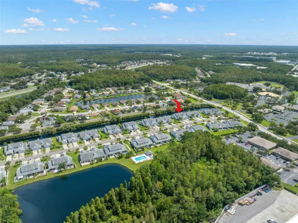 216 HEMINGWAY DRIVE Oldsmar, FL 34677