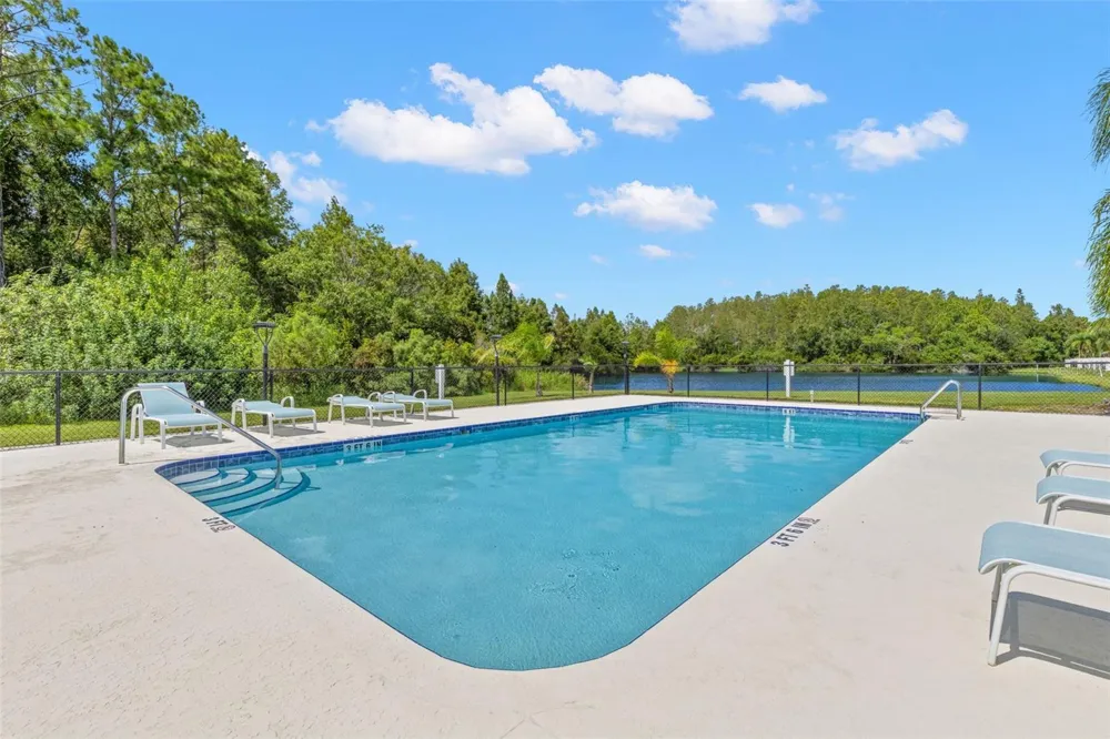 216 HEMINGWAY DRIVE Oldsmar, FL 34677