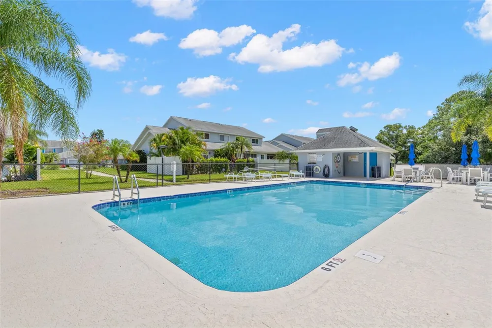216 HEMINGWAY DRIVE Oldsmar, FL 34677