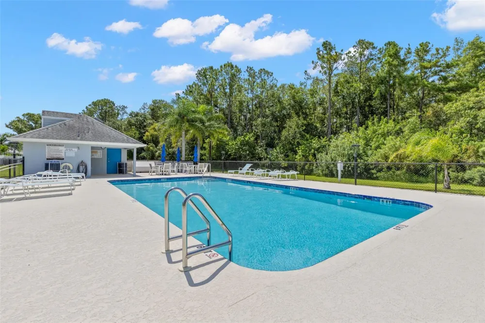 216 HEMINGWAY DRIVE Oldsmar, FL 34677