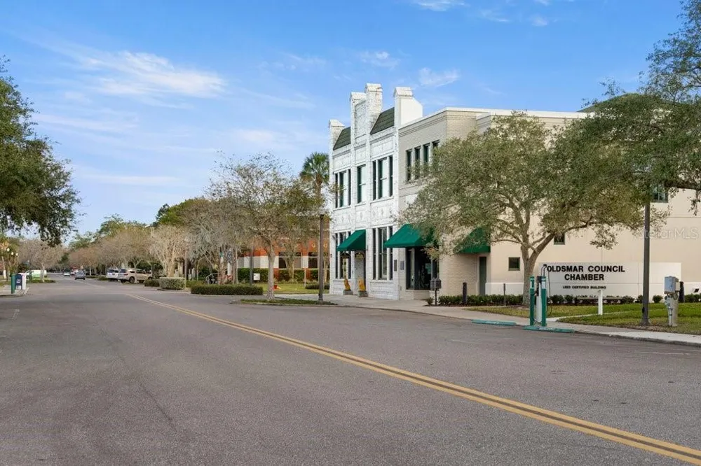 216 HEMINGWAY DRIVE Oldsmar, FL 34677
