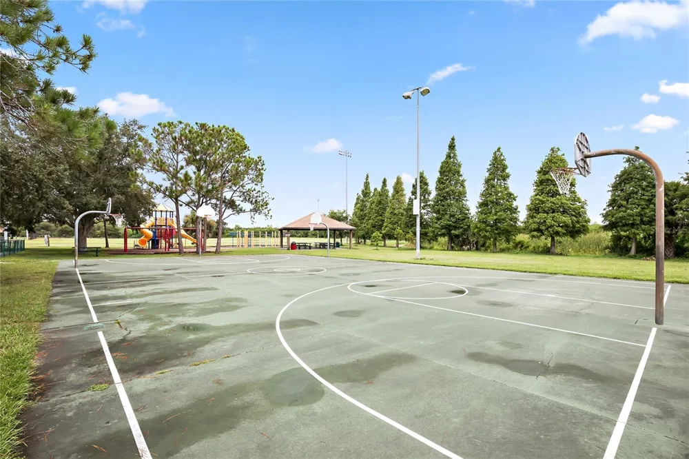 216 HEMINGWAY DRIVE Oldsmar, FL 34677