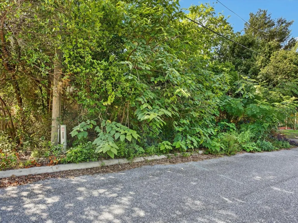 HIBISCUS COURT Tavares, FL 32778