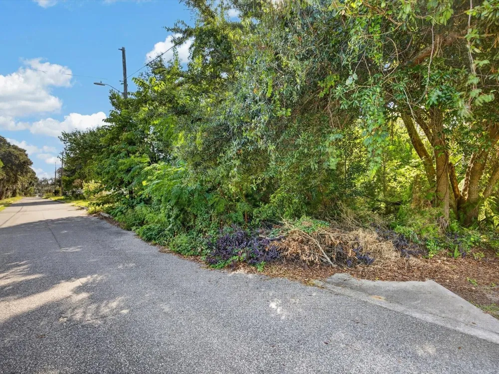 HIBISCUS COURT Tavares, FL 32778