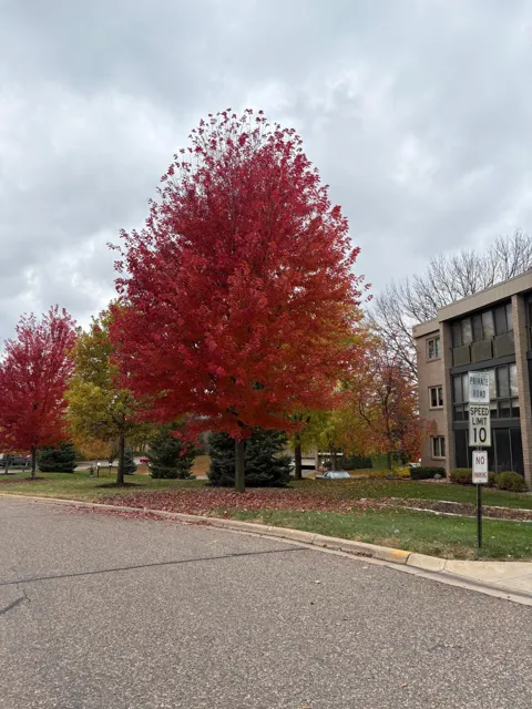 4350 Brookside Court #302