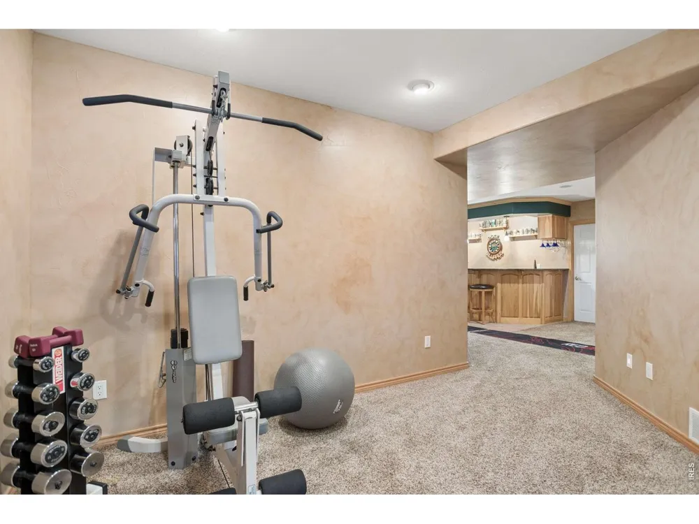 3795 Whitetail Court Mead, CO 80542