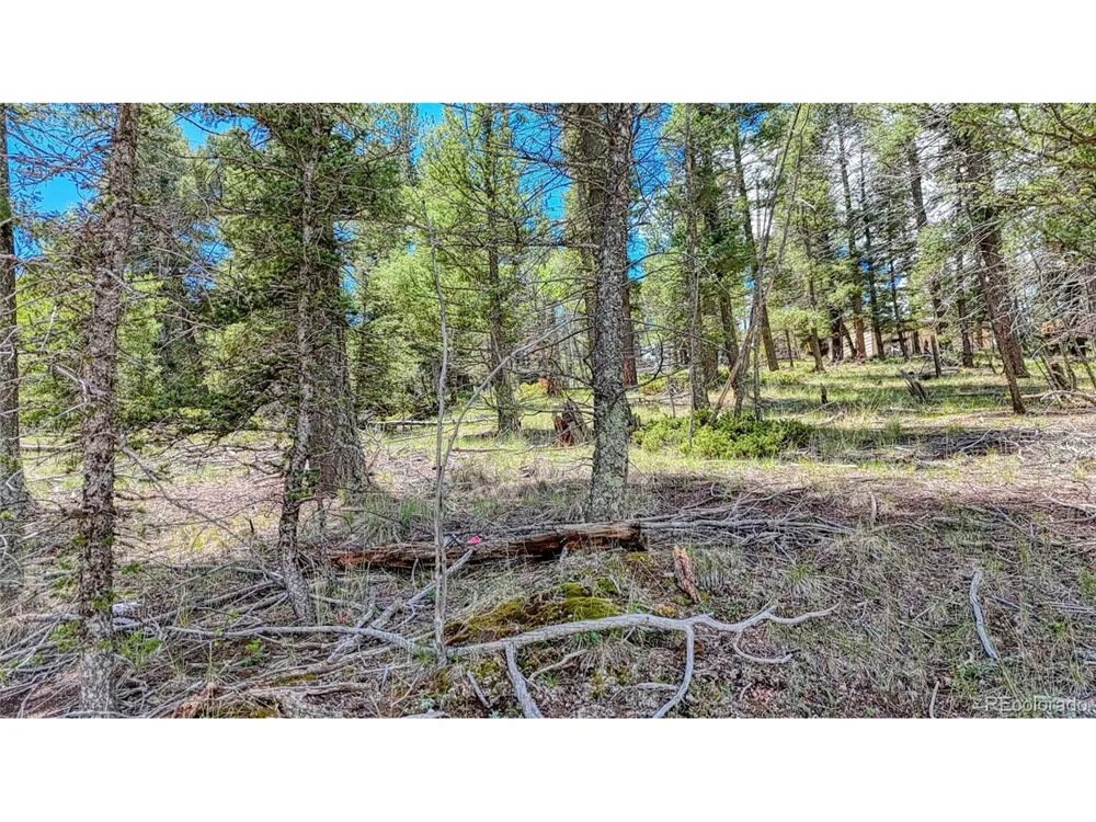 244 Spring Valley Lane Florissant, CO 80816