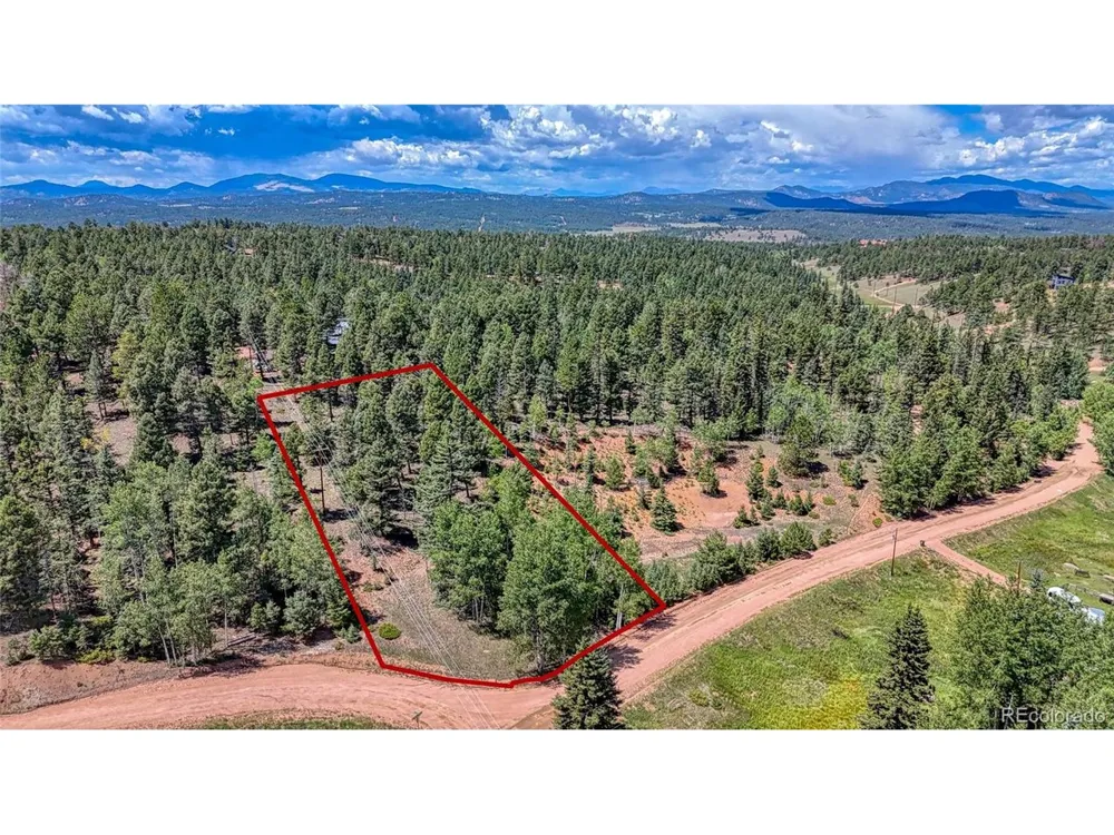 244 Spring Valley Lane Florissant, CO 80816