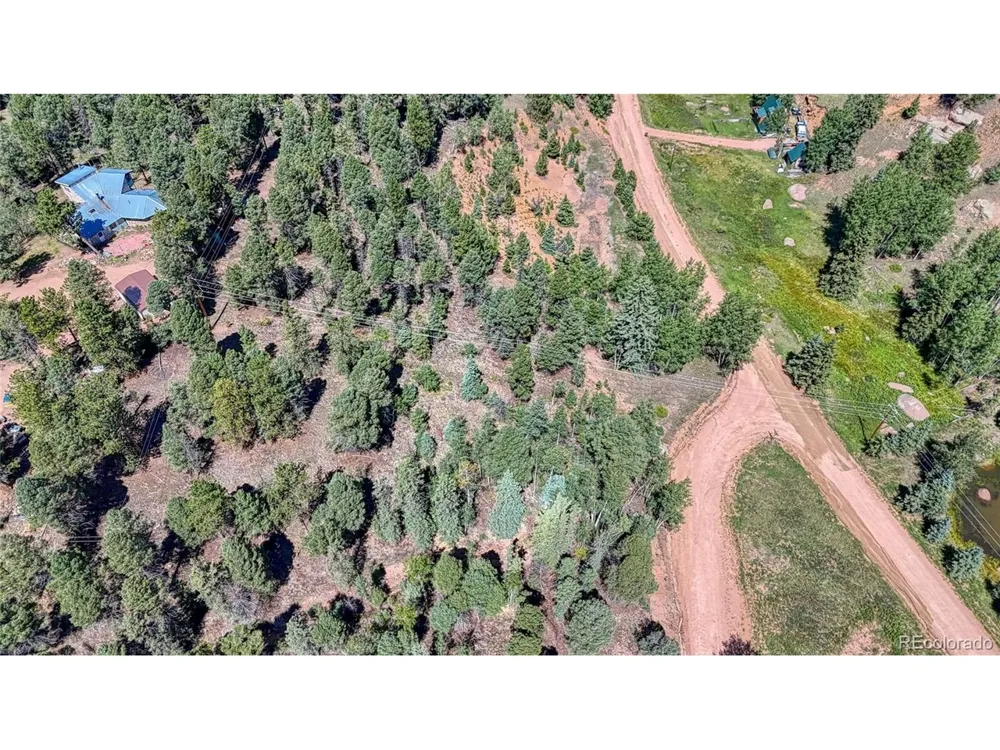 244 Spring Valley Lane Florissant, CO 80816
