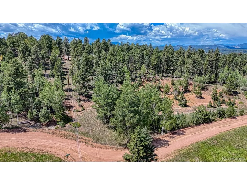 244 Spring Valley Lane Florissant, CO 80816