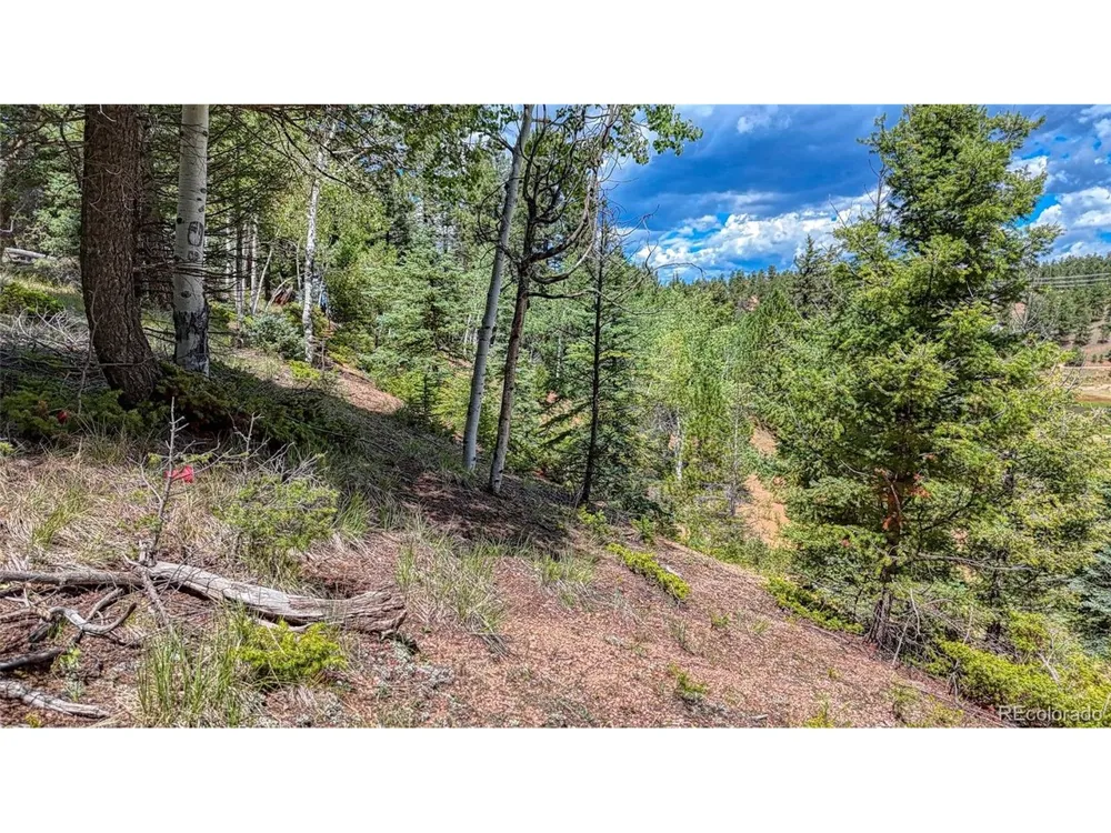 244 Spring Valley Lane Florissant, CO 80816