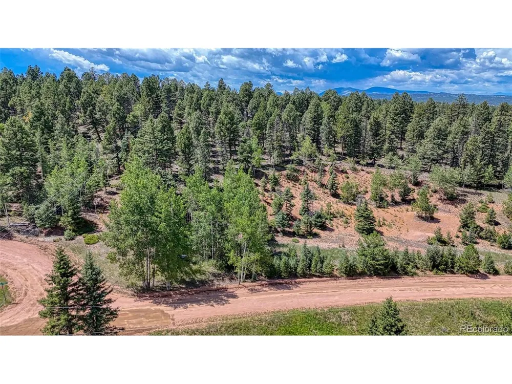 244 Spring Valley Lane Florissant, CO 80816