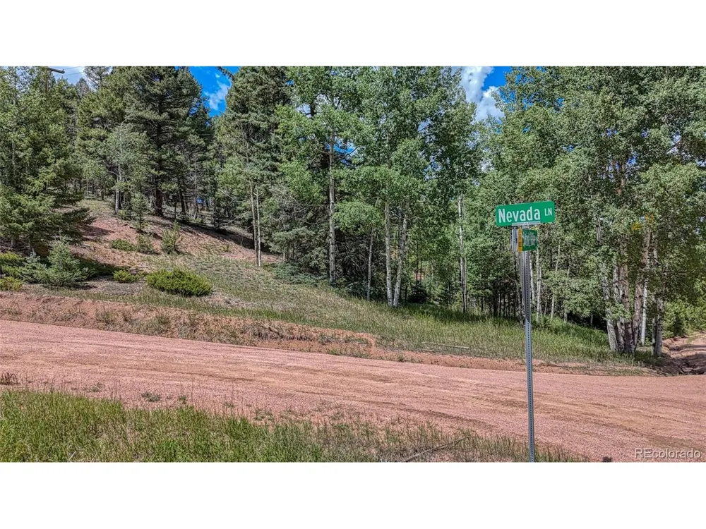 244 Spring Valley Lane Florissant, CO 80816
