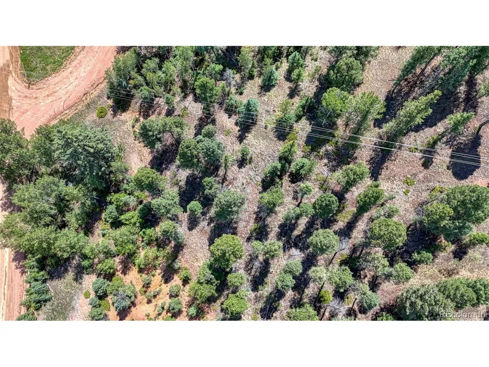 244 Spring Valley Lane Florissant, CO 80816
