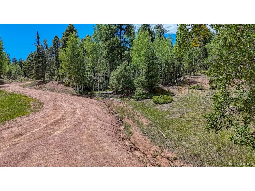 244 Spring Valley Lane Florissant, CO 80816