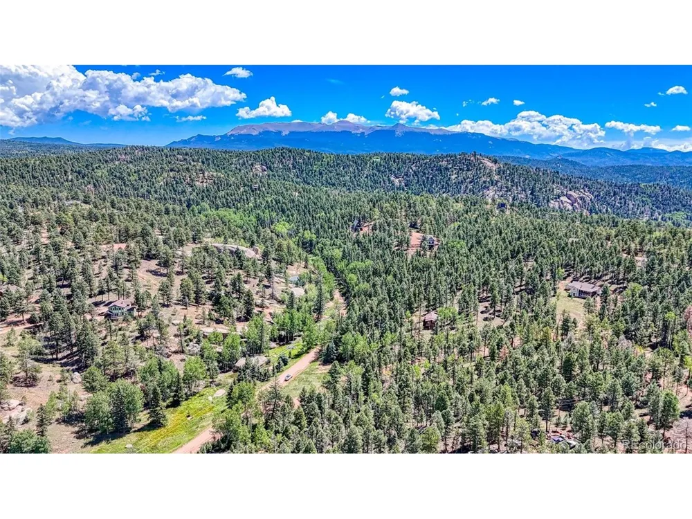 244 Spring Valley Lane Florissant, CO 80816