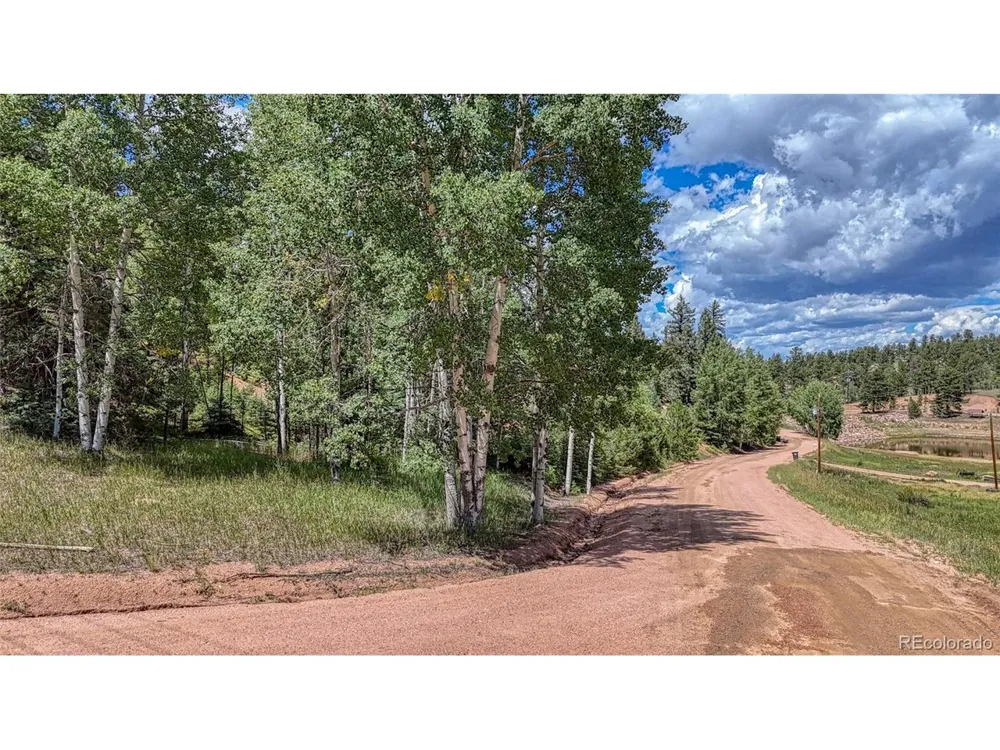 244 Spring Valley Lane Florissant, CO 80816