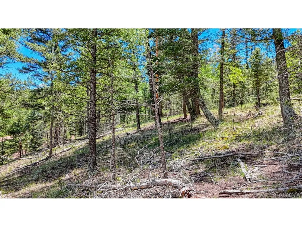 244 Spring Valley Lane Florissant, CO 80816