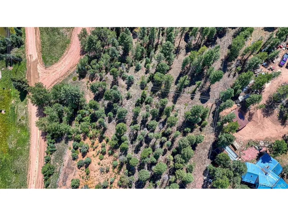 244 Spring Valley Lane Florissant, CO 80816