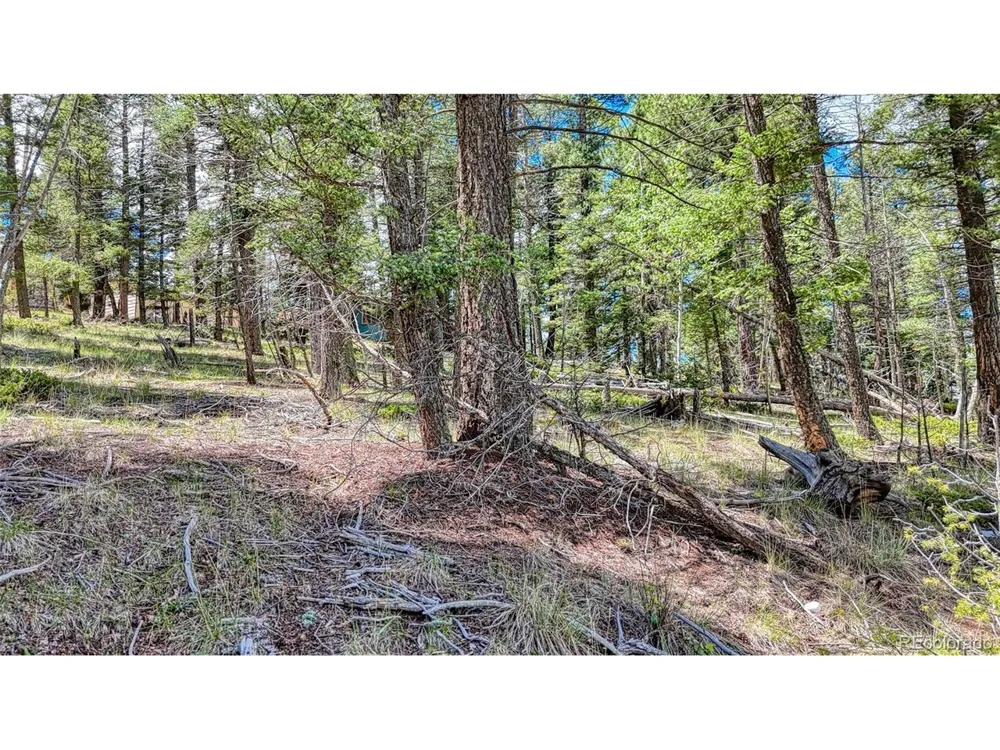244 Spring Valley Lane Florissant, CO 80816