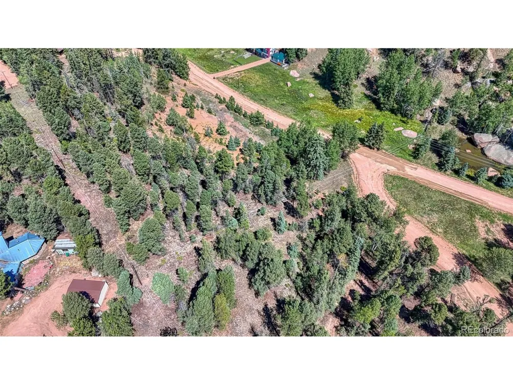244 Spring Valley Lane Florissant, CO 80816