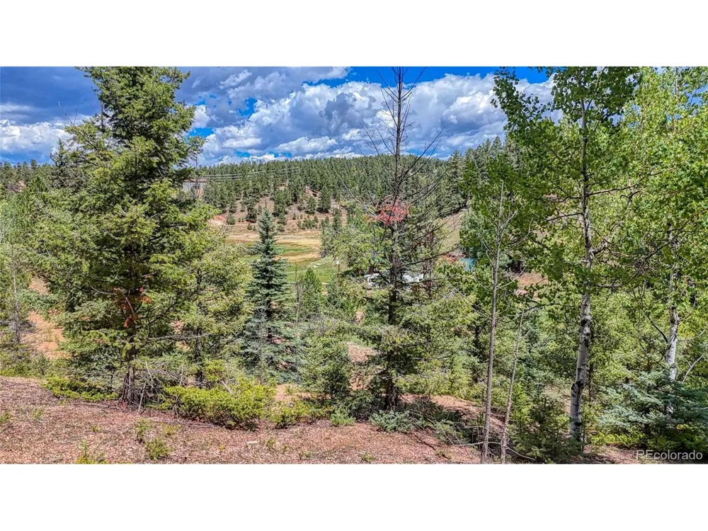 244 Spring Valley Lane Florissant, CO 80816