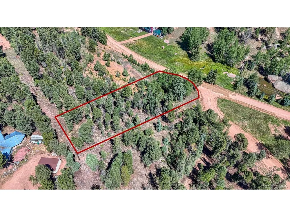 244 Spring Valley Lane Florissant, CO 80816