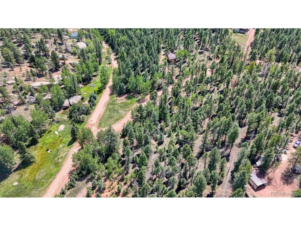 244 Spring Valley Lane Florissant, CO 80816