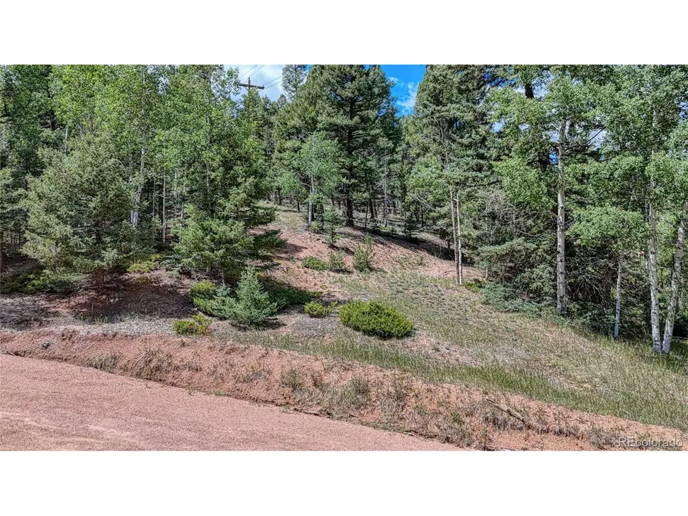 244 Spring Valley Lane Florissant, CO 80816