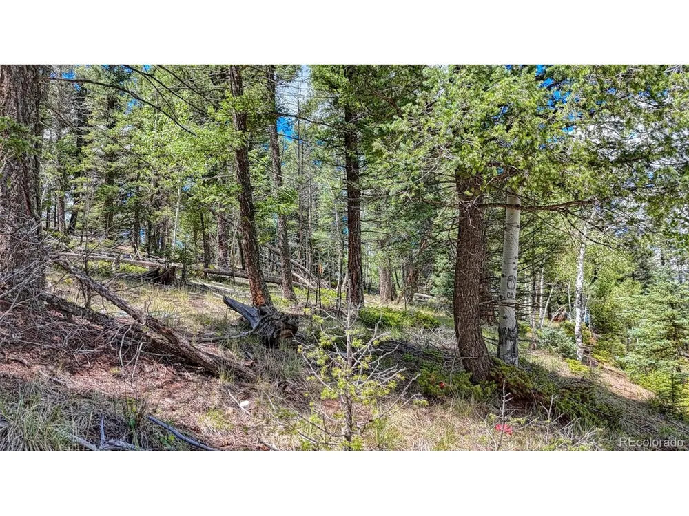 244 Spring Valley Lane Florissant, CO 80816