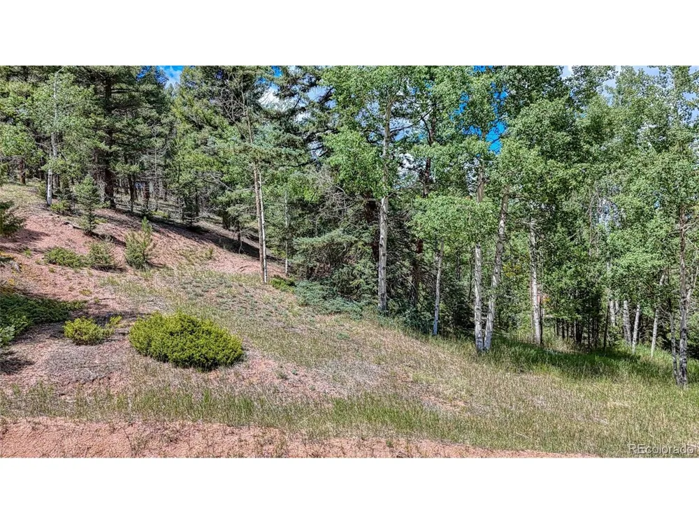 244 Spring Valley Lane Florissant, CO 80816