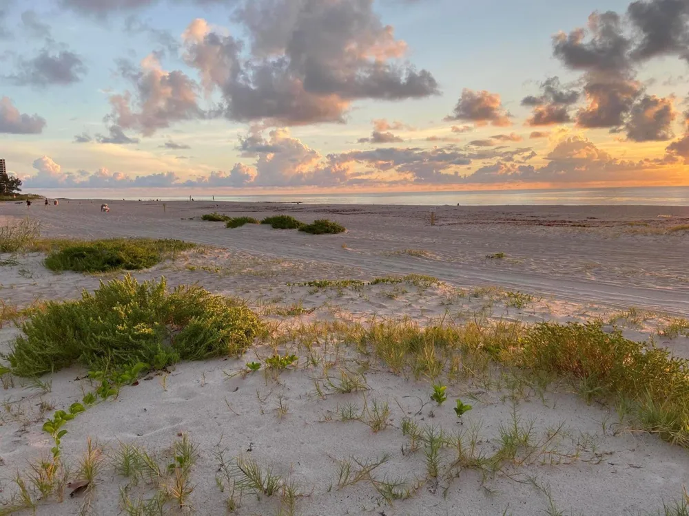 1221 Singer Drive Singer Island, FL 33404